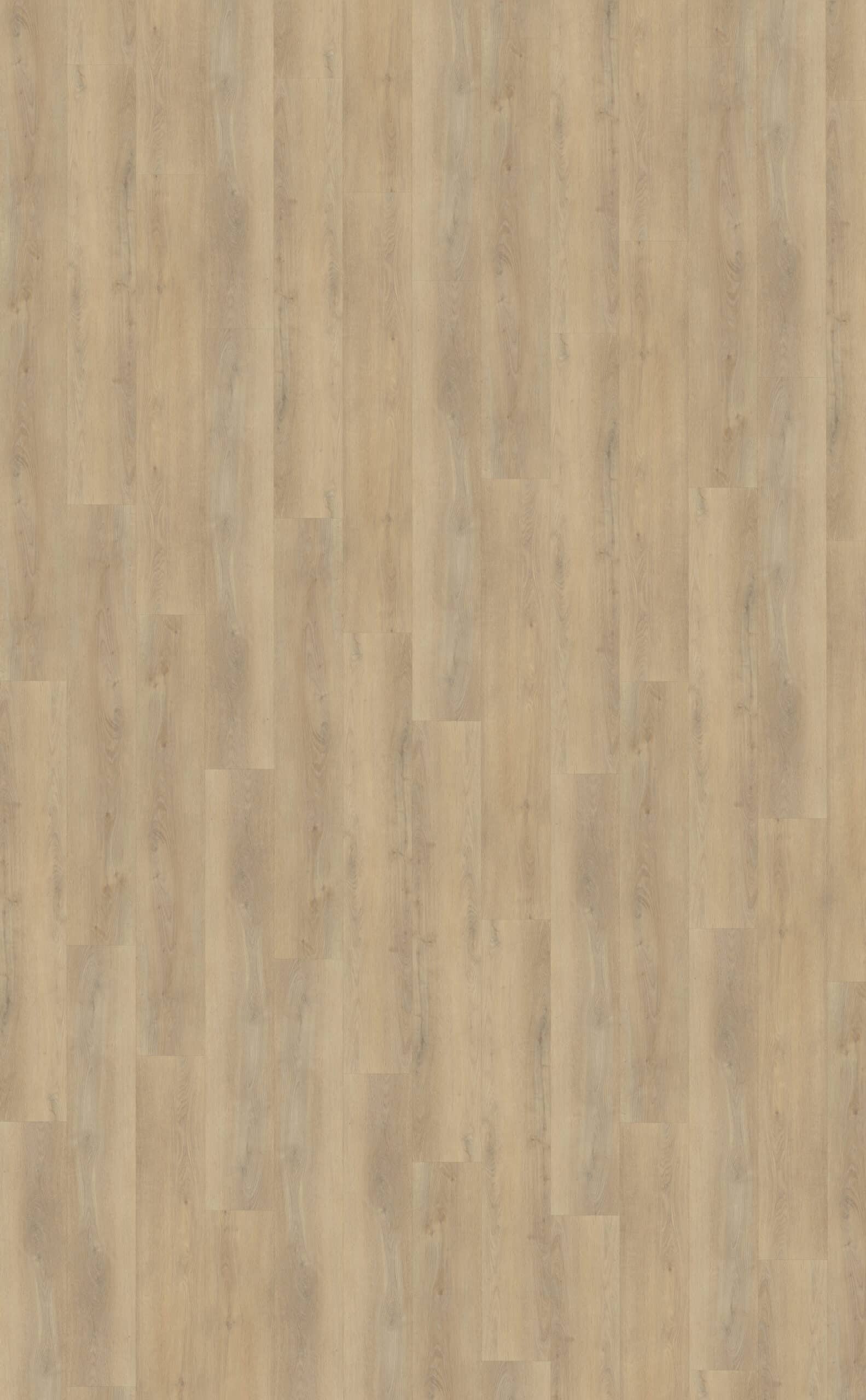 Belakos PVC Palazzo 720 nano inrichters