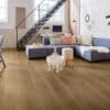 mFLOR-River-Oak-XL-73022