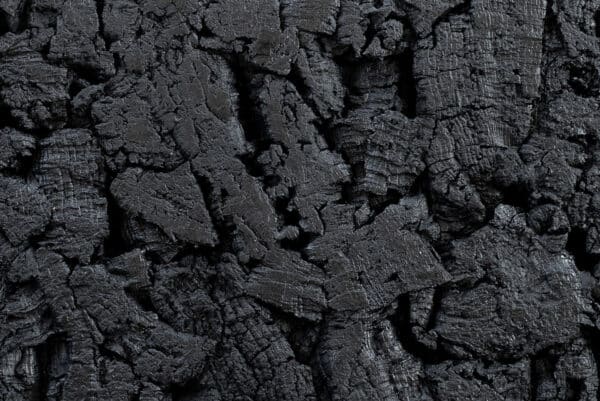 FLOER AKUKURK WANDPANELEN – BOOMSCHORS ZWART