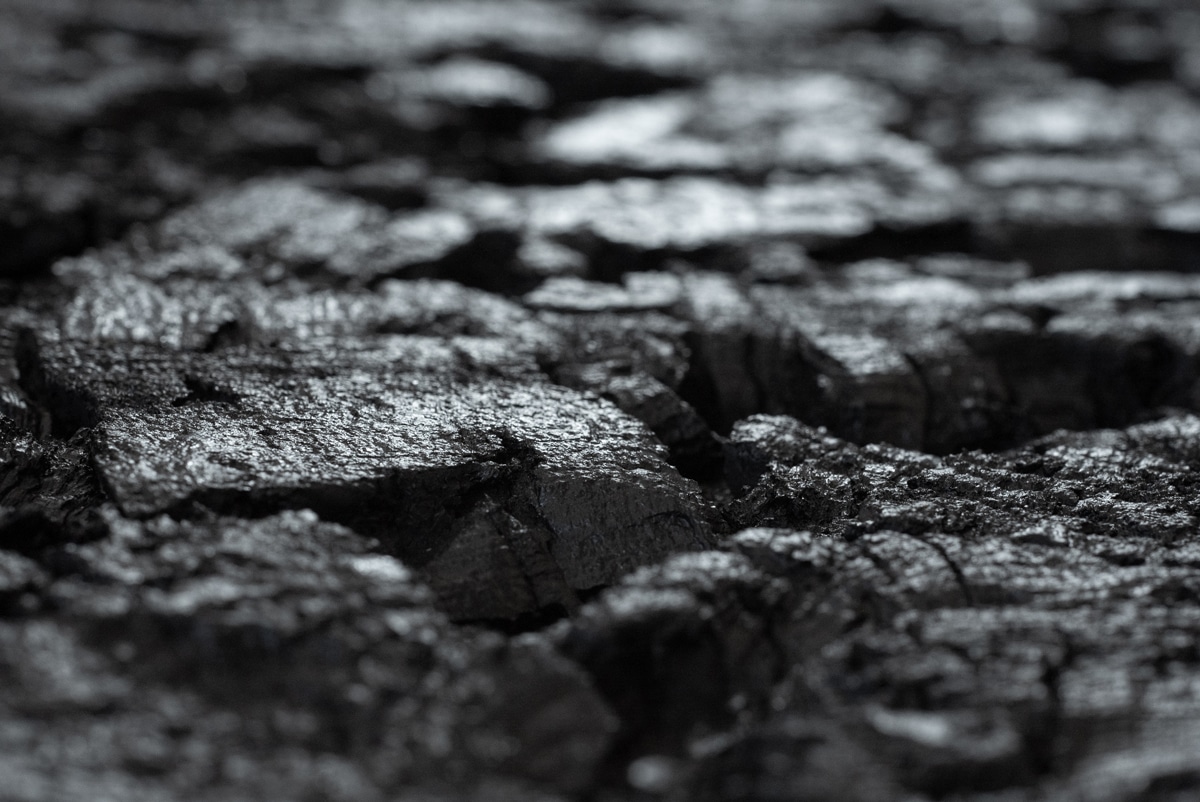 Floer-Akukurk-Wandpanelen-Boomschors-Zwart-perspectief-2