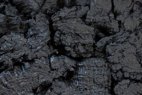 FLOER AKUKURK WANDPANELEN – BOOMSCHORS ZWART