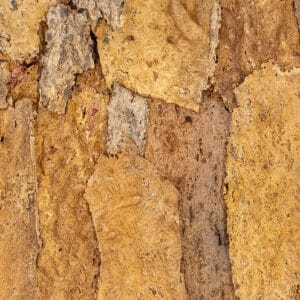 AKUKURK WANDPANELEN – ZANDSTEEN NATUUR
