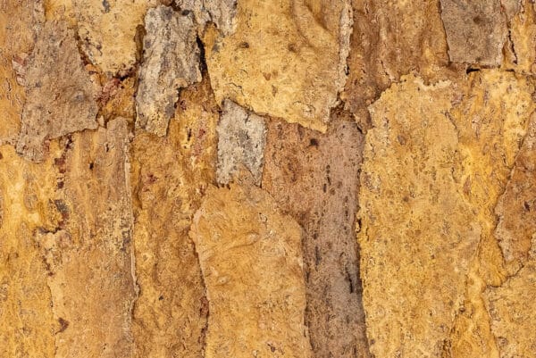 AKUKURK WANDPANELEN – ZANDSTEEN NATUUR