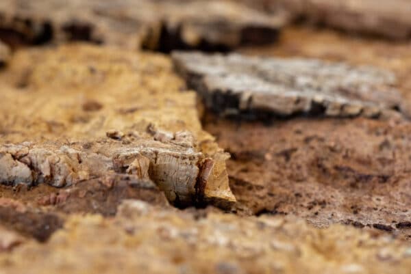 AKUKURK WANDPANELEN – ZANDSTEEN NATUUR