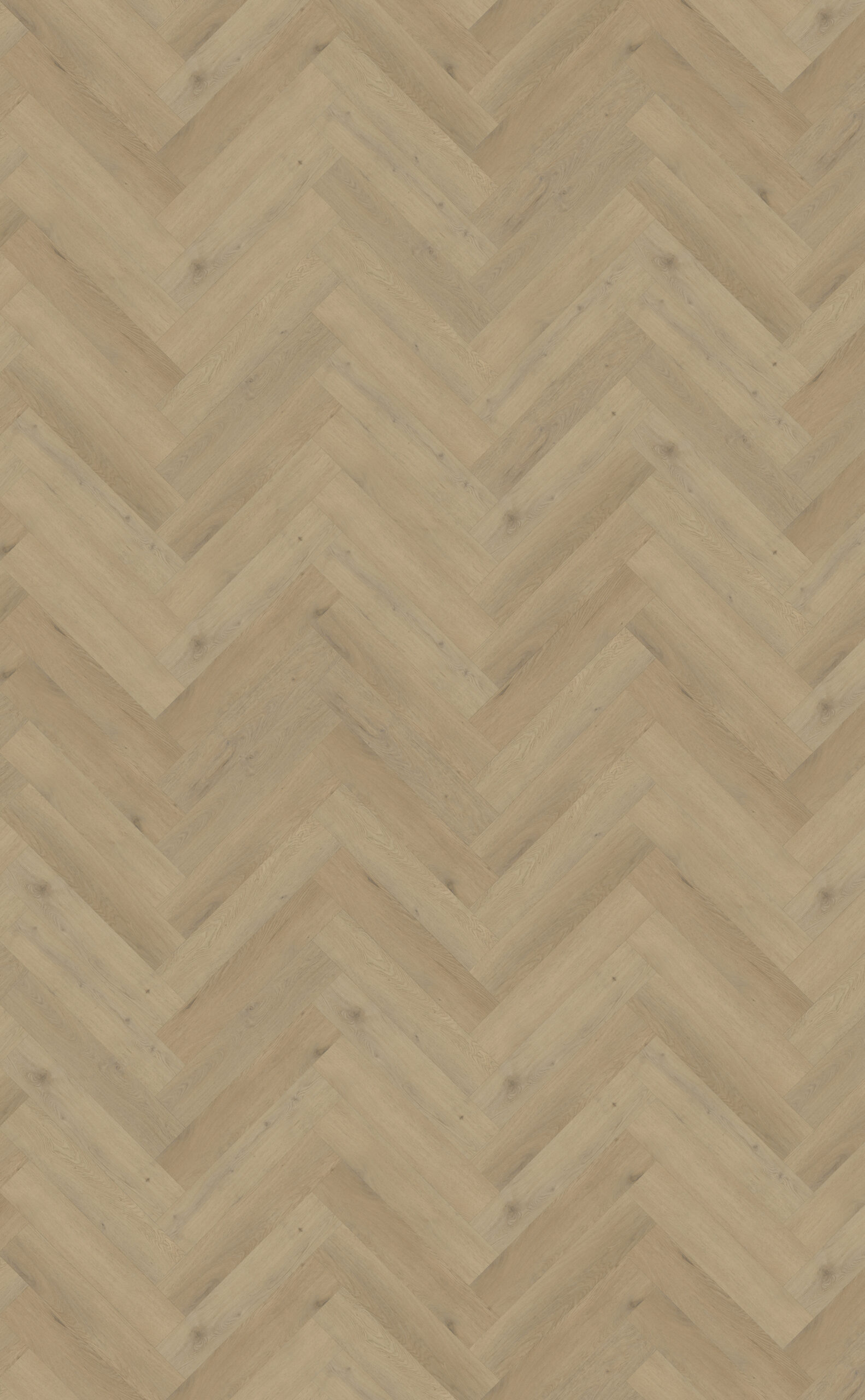 Belakos PVC Attico Visgraat XL 87_topview